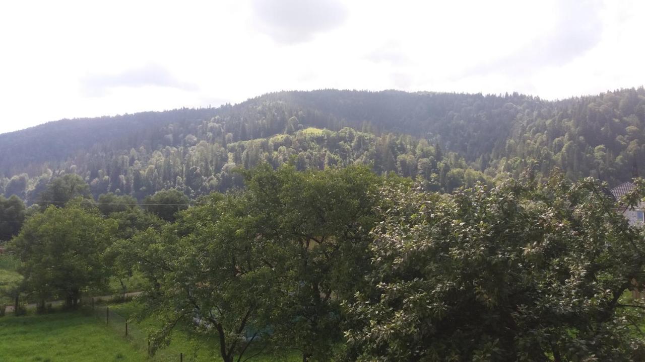 Nota Bene Mykulychyn Villa Buitenkant foto